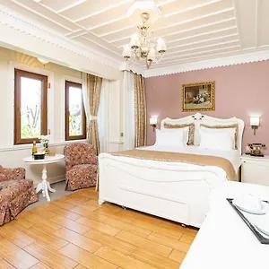 1207 Special Class Sultanahmet 4* Стамбул